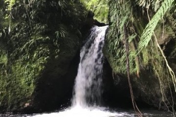 a waterfall in a forest