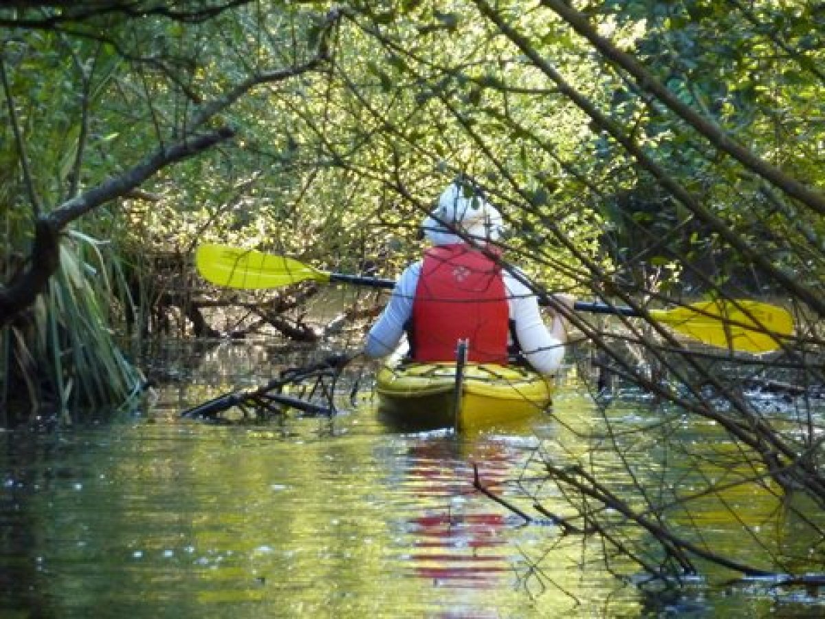 a yellow boat in the water